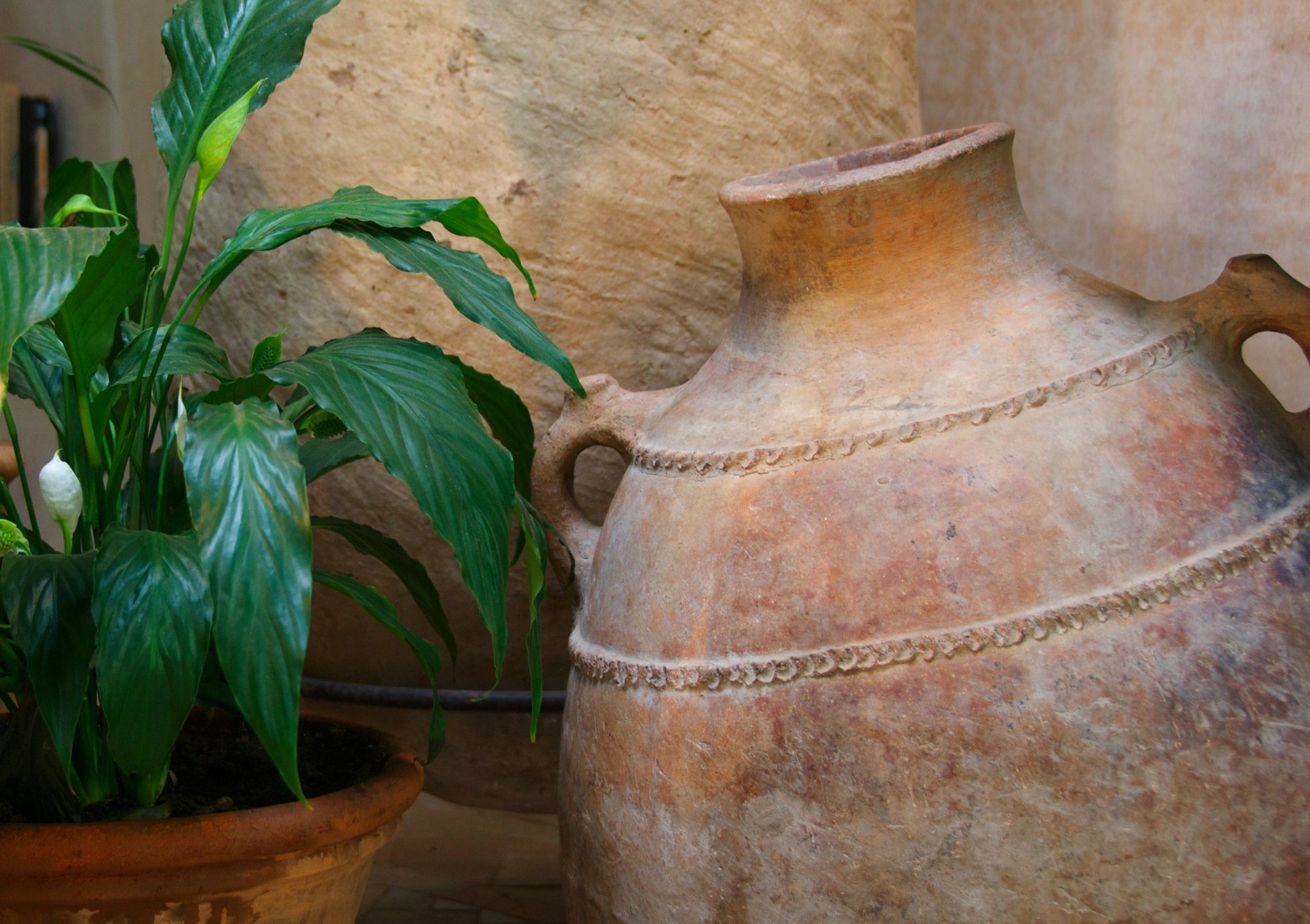 Dar Housnia Hotel Marrakesh Exterior photo
